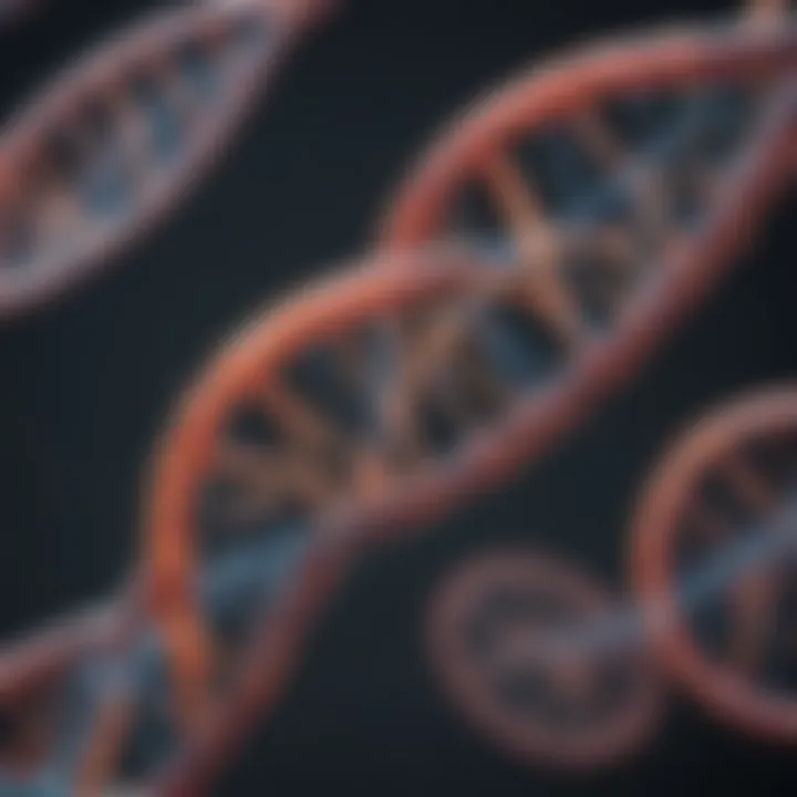 Diagram of DNA structure within a cell