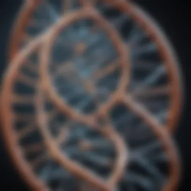 Visual representation of the nucleus with DNA