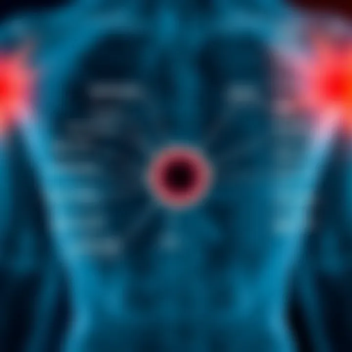 Schematic representing the physiological processes involving smooth cells