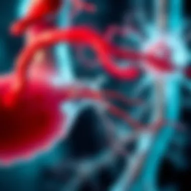Diagram showing smooth endothelial cell function in blood vessels
