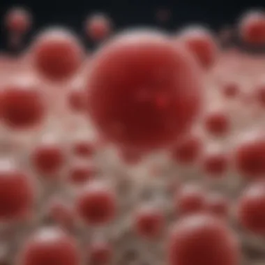 Healthy blood cell illustration indicating anemia