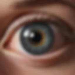 Illustration of an eye with highlighted intraocular pressure areas