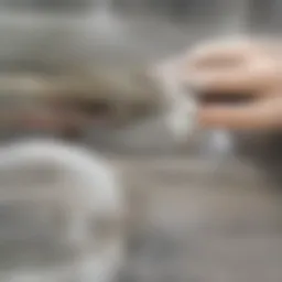 Visual representation of early signs of autism in newborns.