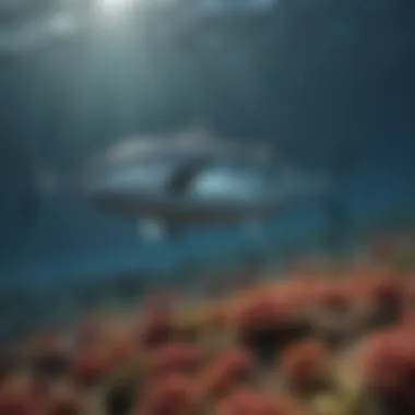 The Beauty of Tuna in Their Natural Habitat Vibrant tuna swimming in the open ocean, showcasing their beauty and ecological importance.