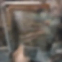 A clear and structured scientific document with highlighted sections.