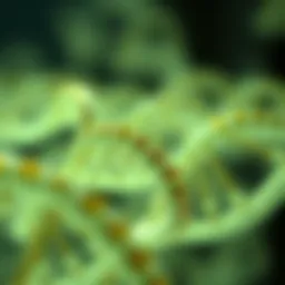 The Evolving Economics of Gene Sequencing: An In-Depth Analysis Introduction