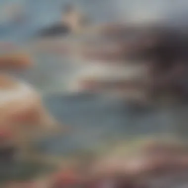 Signs of coral bleaching caused by rising ocean temperatures