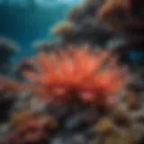 Vibrant coral formations teeming with marine life