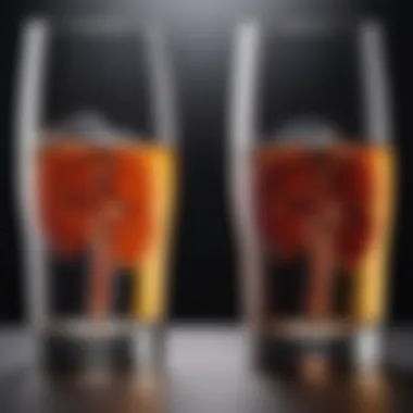 Acute vs Chronic Kidney Issues Due to Alcohol Use Infographic depicting acute and chronic kidney issues linked to alcohol use