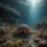 Underwater scene showing marine life affected by noise pollution