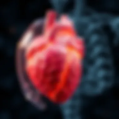 Emotional Responses Linked to Heart-Brain Interactions Artistic representation of emotional responses linked to heart-brain interactions.