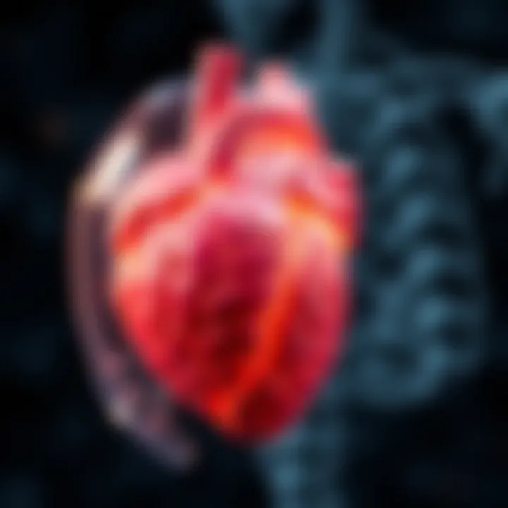Emotional Responses Linked to Heart-Brain Interactions Artistic representation of emotional responses linked to heart-brain interactions.