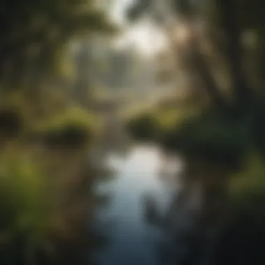 Diverse Flora and Fauna in Wetlands A vibrant wetland ecosystem teeming with diverse flora and fauna.