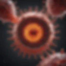 Viral entry mechanisms in Hepatitis C