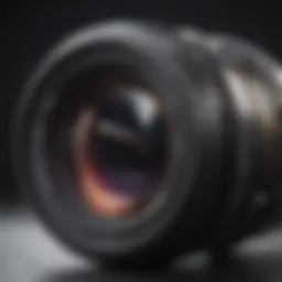 Anatomical structure of the lens in detail