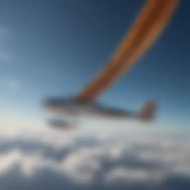 Visual representation of thermals and wind currents affecting glider flight