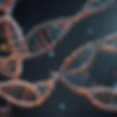 Biotechnological Applications of DNA Fragments Applications of DNA fragments in biotechnology