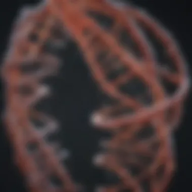Techniques for Fragmenting DNA Visual representation of DNA fragmentation techniques