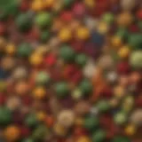 A vibrant assortment of plant-based foods highlighting the diversity of the planetary diet.