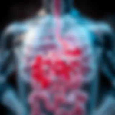 The Relationship Between Rheumatoid Arthritis and the Gut Microbiome Summary The Relationship Between Rheumatoid Arthritis and the Gut Microbiome Summary