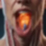Thyroid gland illustration highlighting its role in metabolic processes