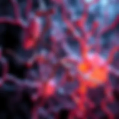 Cardiolipin Pathways in Cellular Function Pathways involving cardiolipin and cellular processes