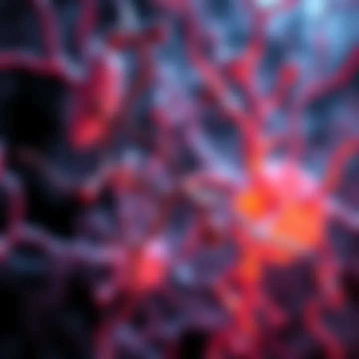 Cardiolipin Pathways in Cellular Function Pathways involving cardiolipin and cellular processes