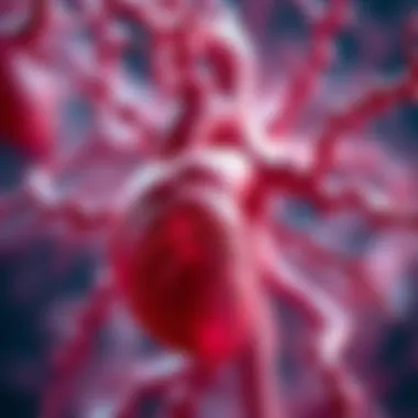 Impact of Cardiolipin Dysregulation on Health Visual representation of cardiolipin dysregulation in disease