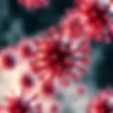 The Role of CD86 in Immunological Responses: A Comprehensive Overview Introduction