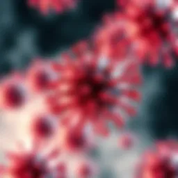 The Role of CD86 in Immunological Responses: A Comprehensive Overview Introduction