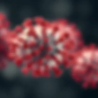 Notable The Role of CD86 in Immunological Responses: A Comprehensive Overview Notable The Role of CD86 in Immunological Responses: A Comprehensive Overview