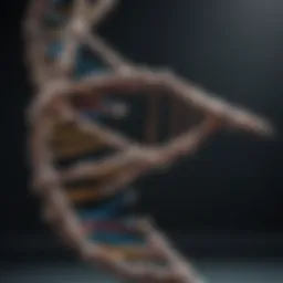 DNA double helix structure illustrating genetic information