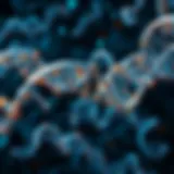 An intricate depiction of genetic evolution pathways