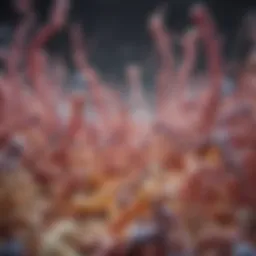 Illustration of the gut microbiome showcasing beneficial bacteria.