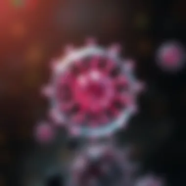 The Role of Vitamin D2 in Modulating the Immune System Summary