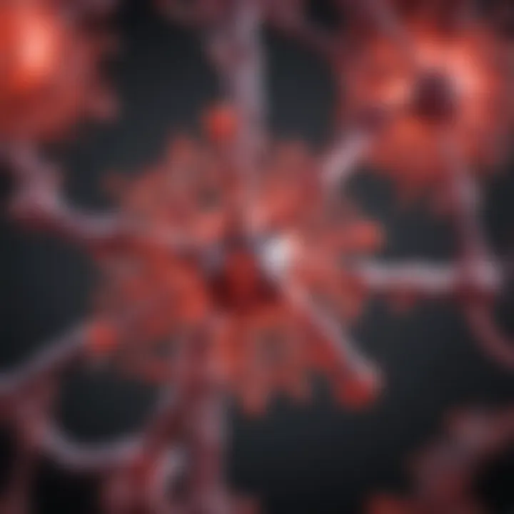 Detailed structure of infrared fluorophores