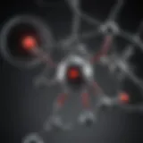 Molecular structure comparison of carbon monoxide and carbon dioxide