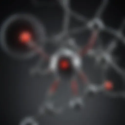 Molecular structure comparison of carbon monoxide and carbon dioxide