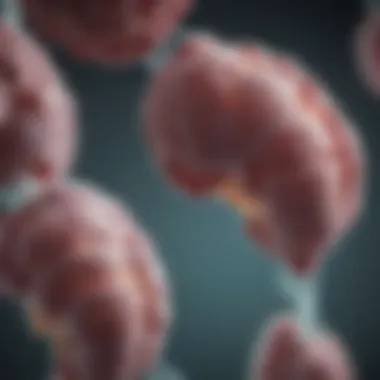 Genetic Insights into PTC Chart illustrating genetic mutations associated with PTC