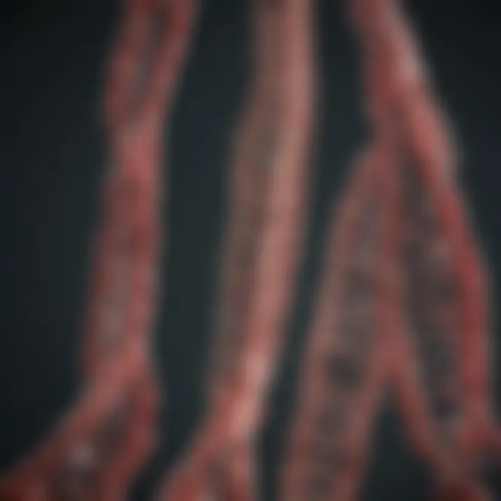 Visual representation of the role of promoters in transcription