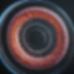 Visual representation of plasmid structure