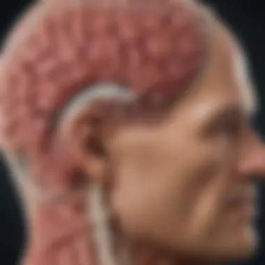 Diagnostic Approaches for Occipital Lobe Tumors Chart illustrating diagnostic methods for tumors in the occipital lobe