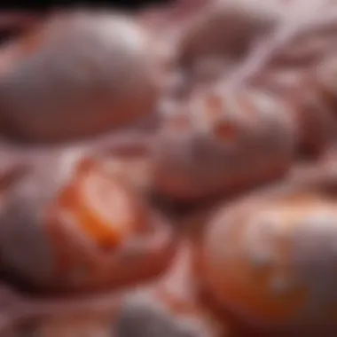 Visual representation of post-renal factors affecting kidney function
