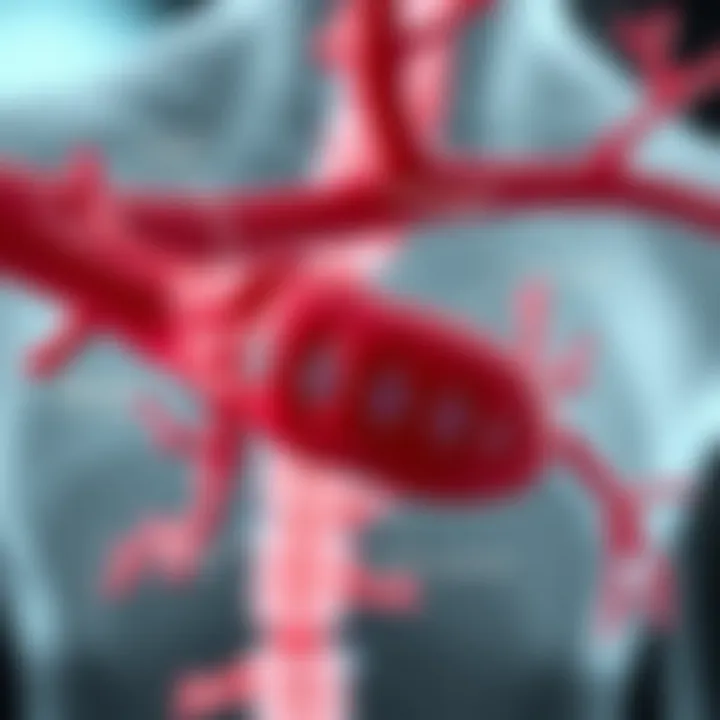 Infographic detailing types of arterial calcification