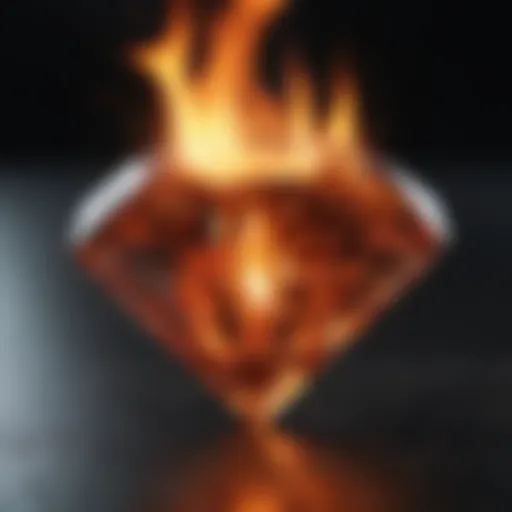 Visual representation of the fire diamond system