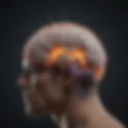 Representation of the brain highlighting addiction areas