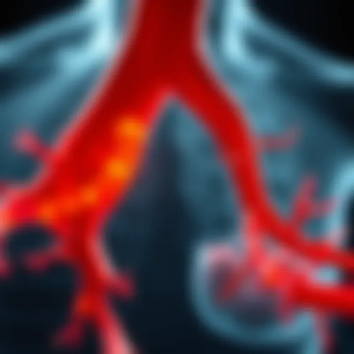Diagram illustrating arterial calcification process