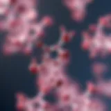 Illustration of bicalutamide molecular structure
