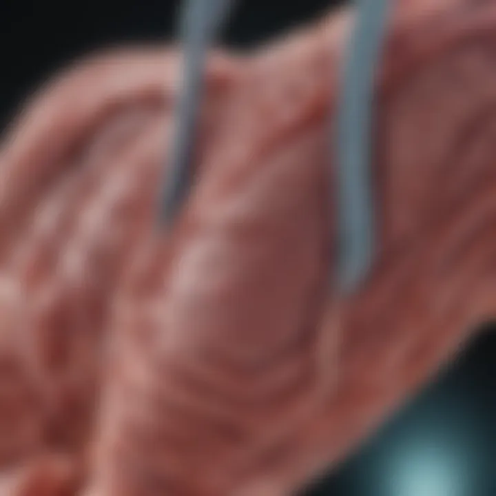 Research findings infographic related to bile duct cancer advancements