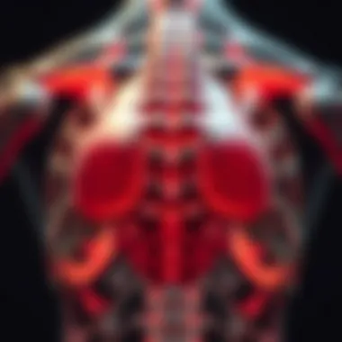 Graphical representation of primary vs metastatic spinal cord tumors